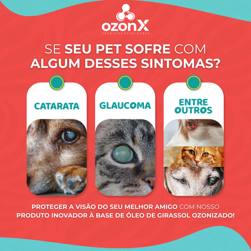 PET Suplemento Ocular Animal: Girassol Ozonizado - 100% Natural - FRETE GRÁTIS 🚚
